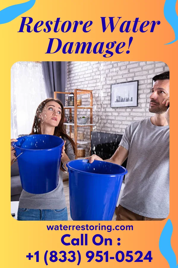 water restoration Eco Water Repair Specialists Buna